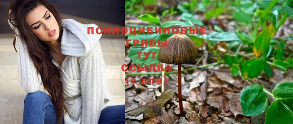 сатива Нефтекумск